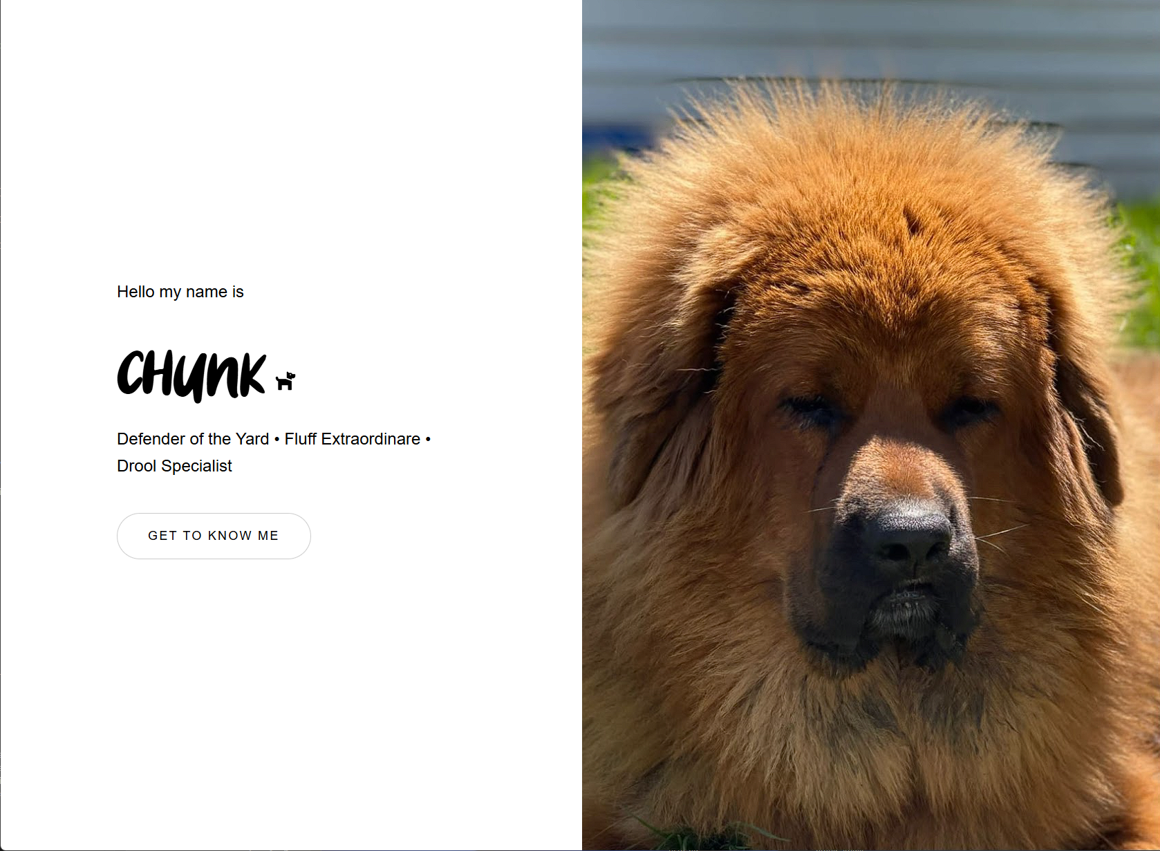 Chunk Site screenshot